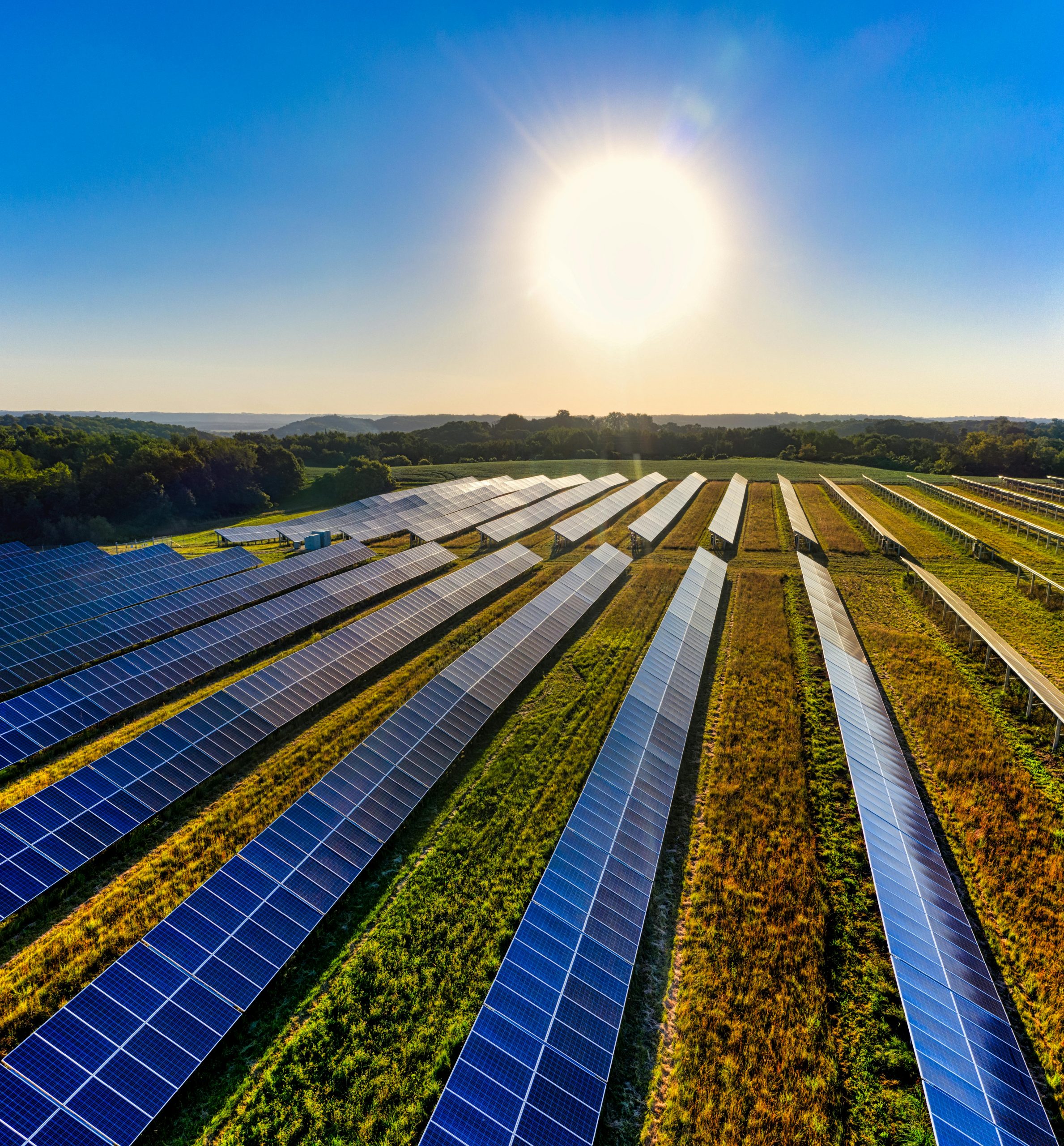 services-01 Aerial view of a solar farm in Red Wing, MN, with solar panels harnessing the sun's energy.
